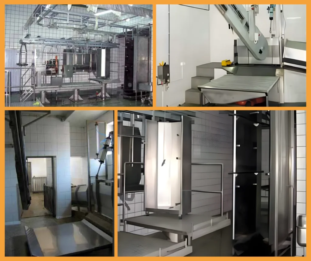 Slaughter Lines – Modern Solutions for the Meat Industry