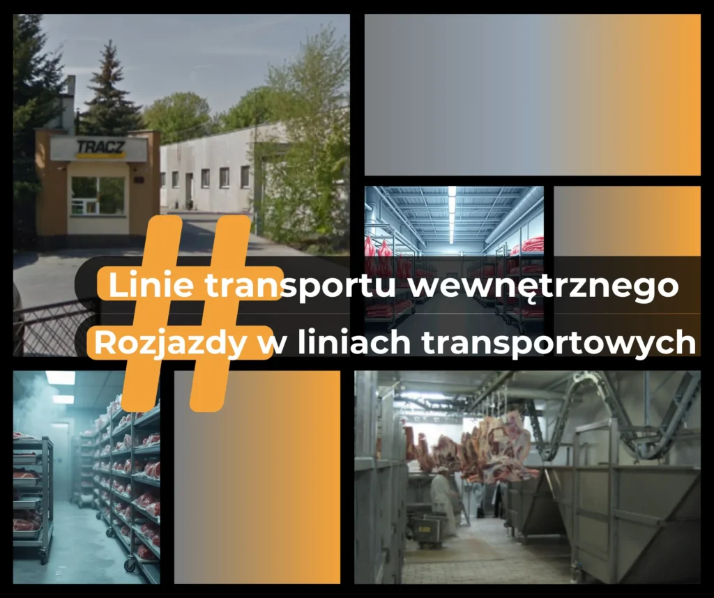 Linie transportu wewnętrznego w zakładach przemysłu spożywczego – kluczowe rozwiązania